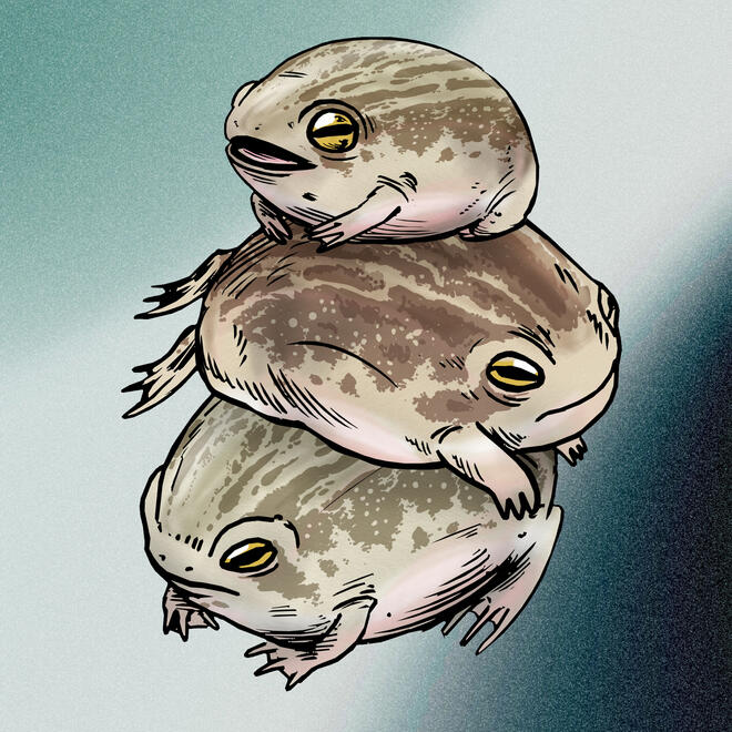 Frogpile Frogpile