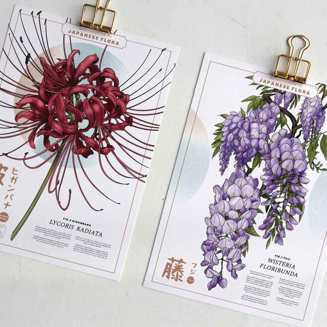 Wisteria Wisteria