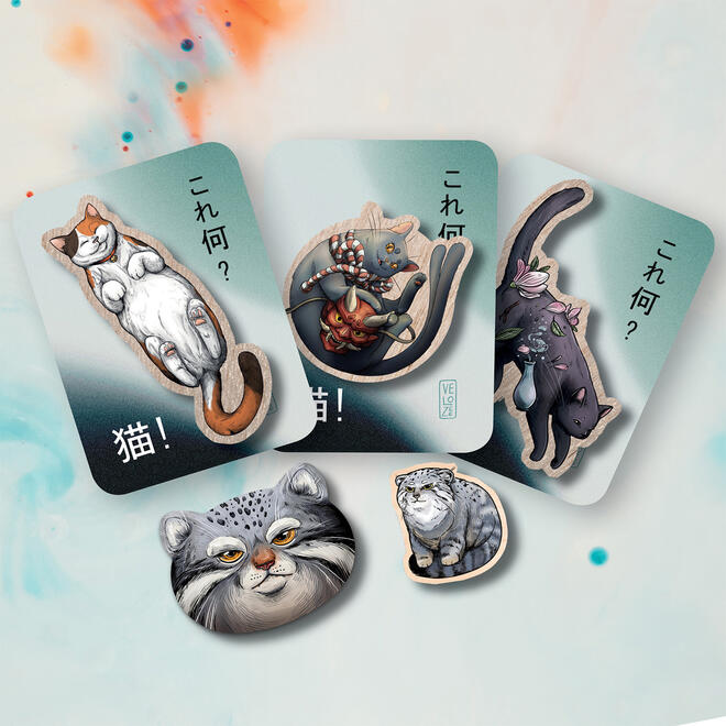 Cat Designs Cat Designs