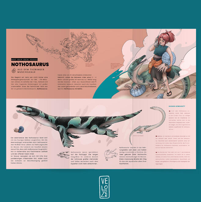 Nothosaurus Nothosaurus