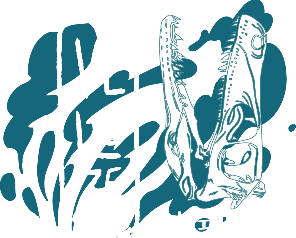 Velozee Logo